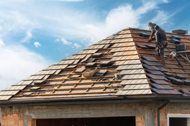 Best Roof Maintenance and Cleaning  in Archbald, PA